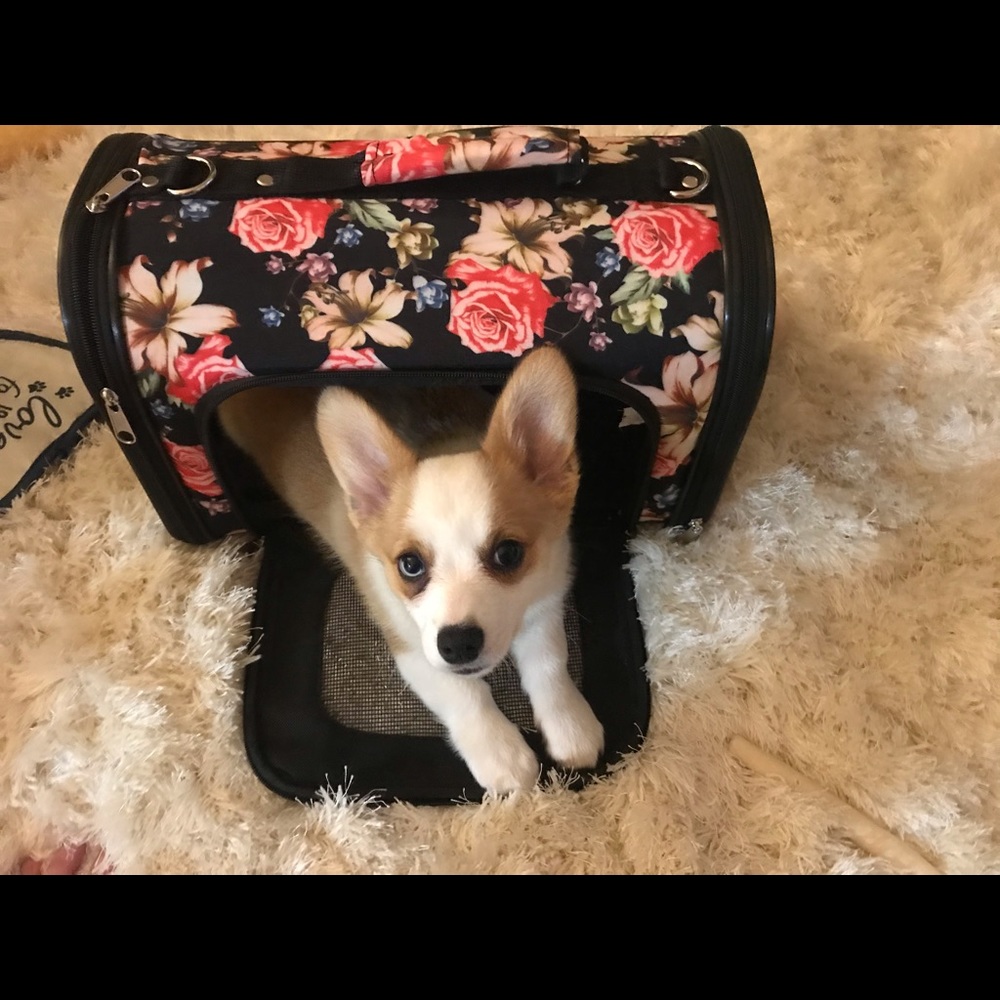 Floral Pet Carrier